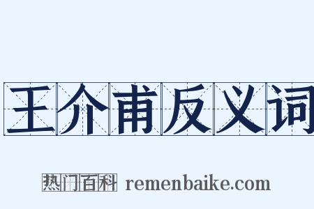 王介甫反义词是什么意思的图片